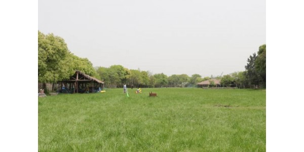 团建 | 同舟共济为人先，奥趋聚力赴辉煌 ——奥趋光电举行2021年春季团队拓展